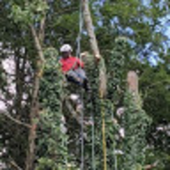 Meet your Posher, Andrew - Picture 1 of 1